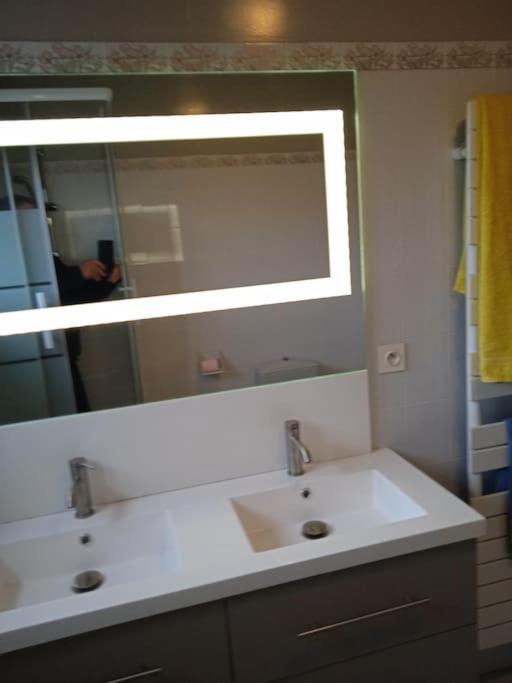 St Malo Maison Avec Jardin Proche Gare Plage Intramuros Chien Admis Parking Gratuit Saint-Malo Eksteriør bilde